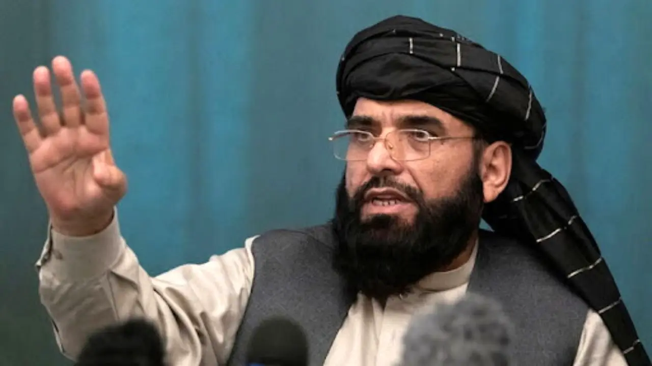 سهیل شاهین: کرسی افغانستان در سازمان ملل حق طالبان است