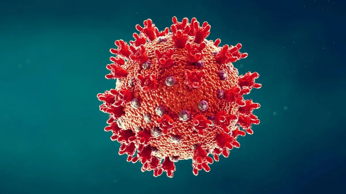 اینفوگرافی| درباره نوع جدید ویروس کرونای آفریقای جنوبی چه می‌دانیم؟