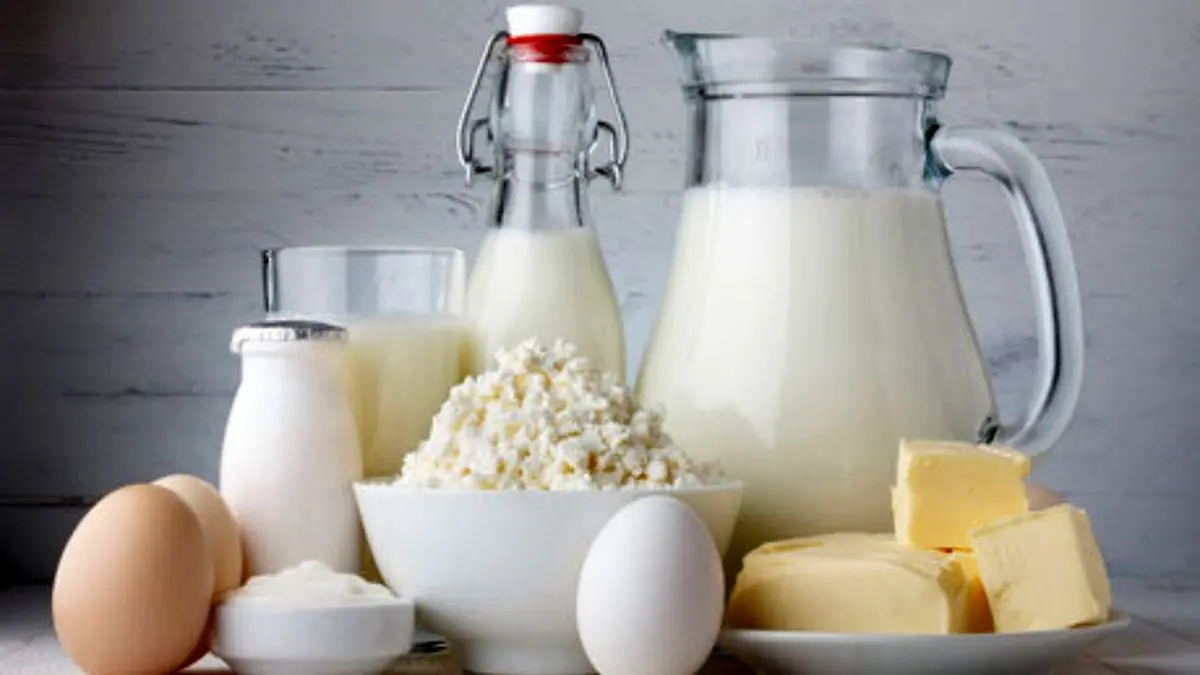 آیا صنایع لبنی مجاز هستند از شیر خشک استفاده کنند؟