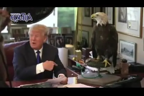 عقاب‌هایی که ترامپ را دوست ندارند! + ویدئو