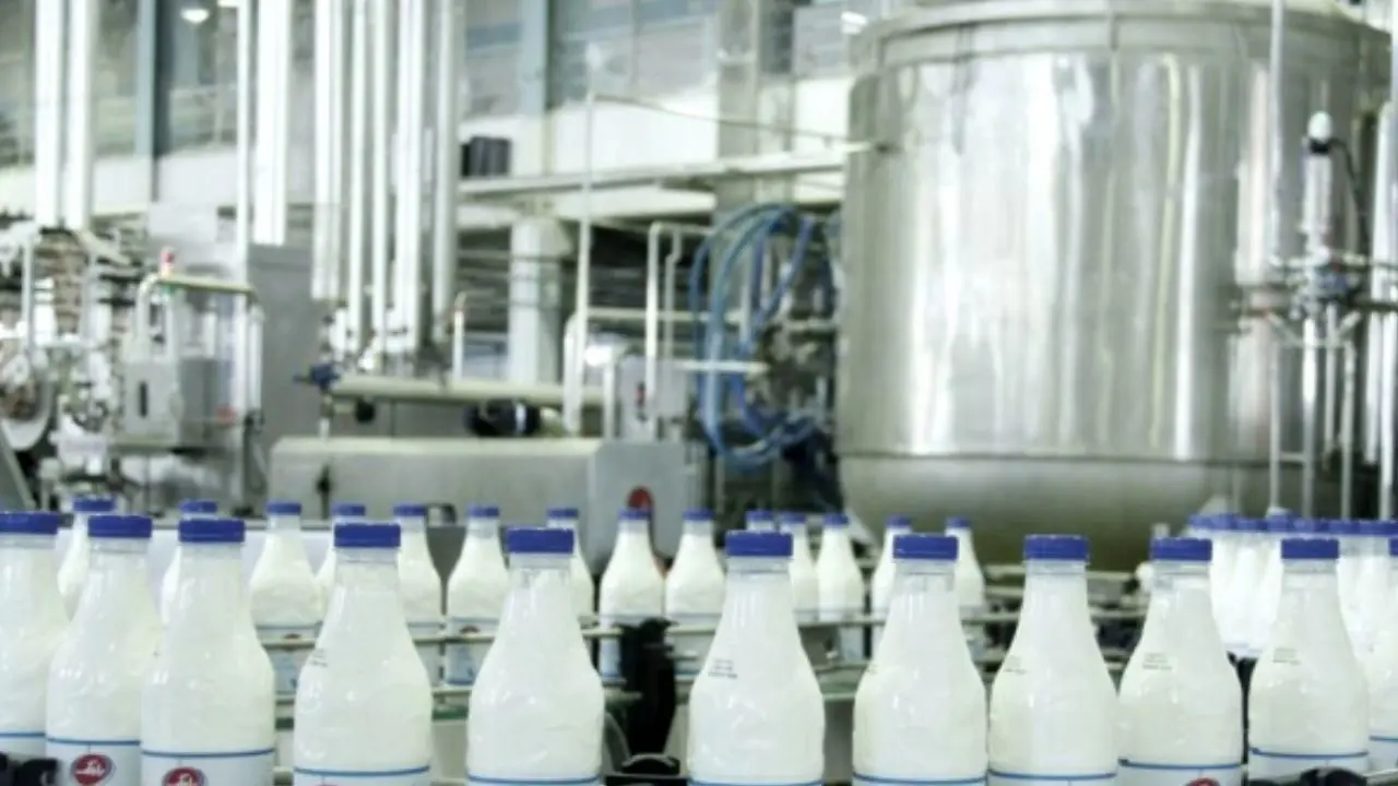 رعایت نکردن نرخ مصوب شیرخام از سوی دامداران/ صادرات لبنیات 18 درصدی کاهش داشت