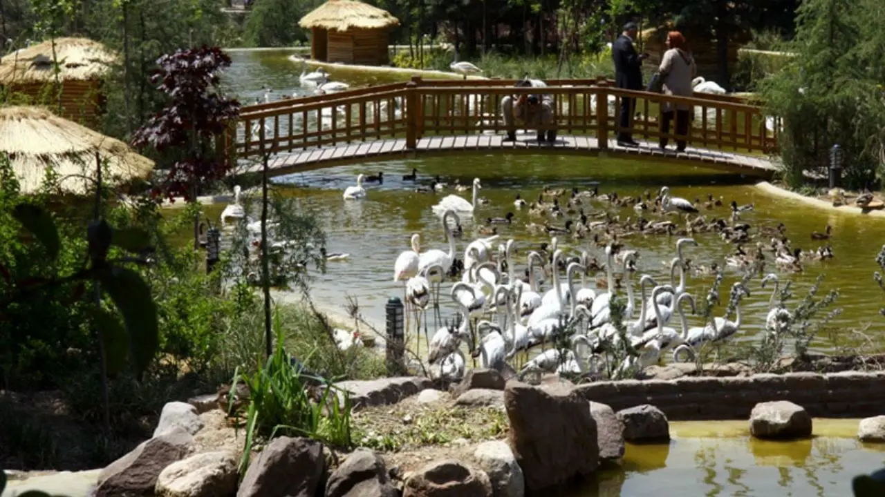 اخذ مجوز محیط زیستی ویژه کابل و تور باغ پرندگان تهران
