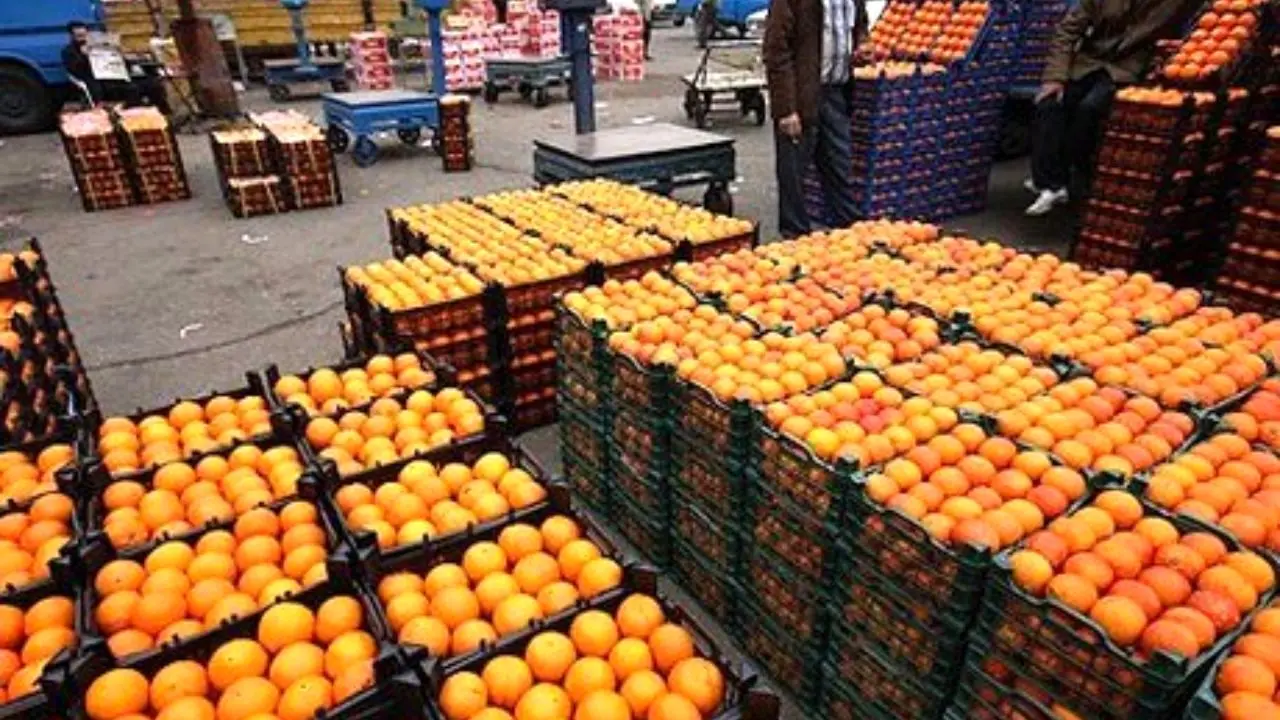 افزایش 54 درصدی صادرات محصولات میوه و تره بار