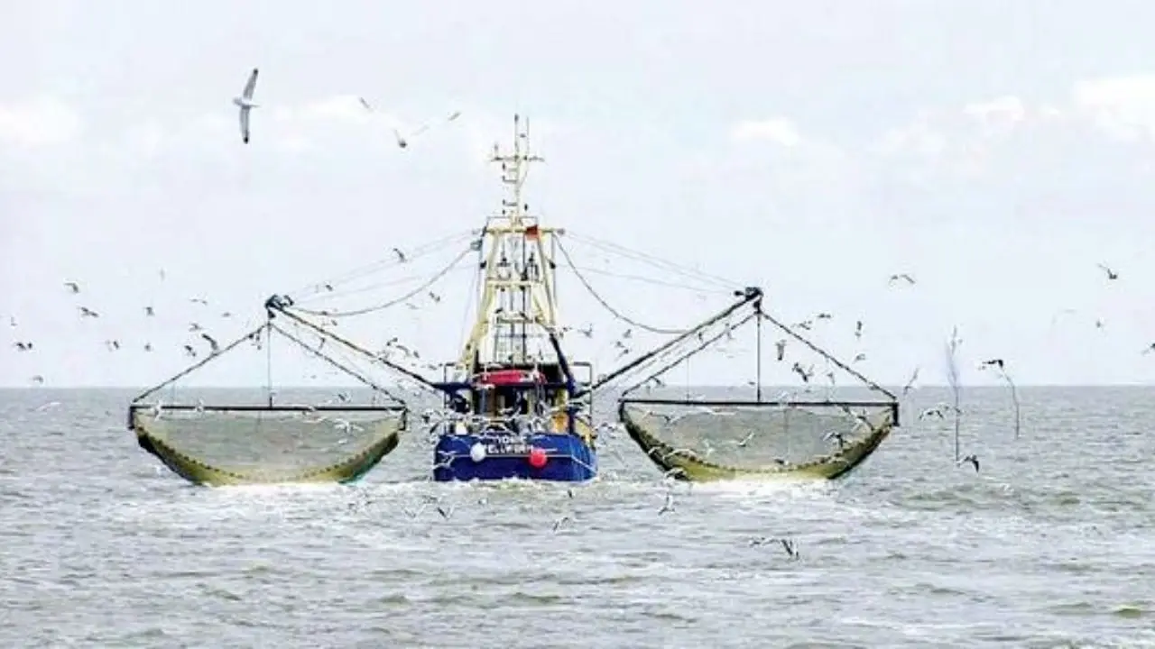 کشتی‌های چینی در ساحل جاسک ماهی‌ها را غارت می‌کنند