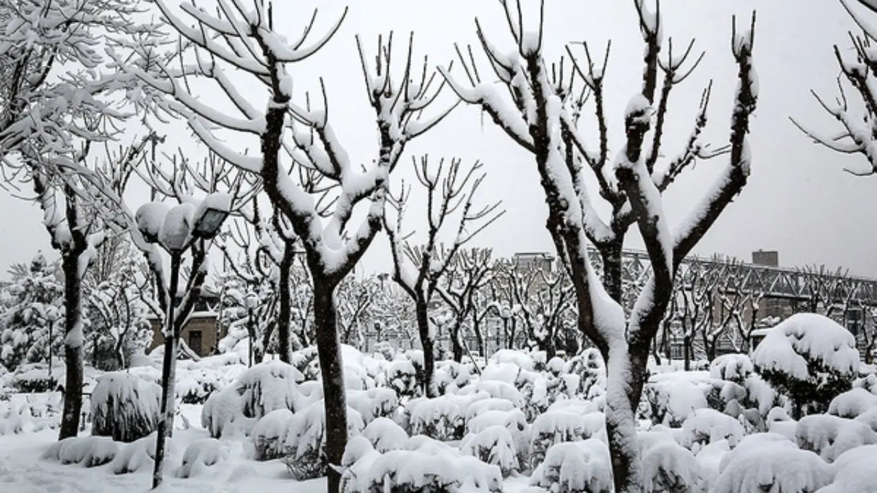 موج جدید برف و باران در تهران