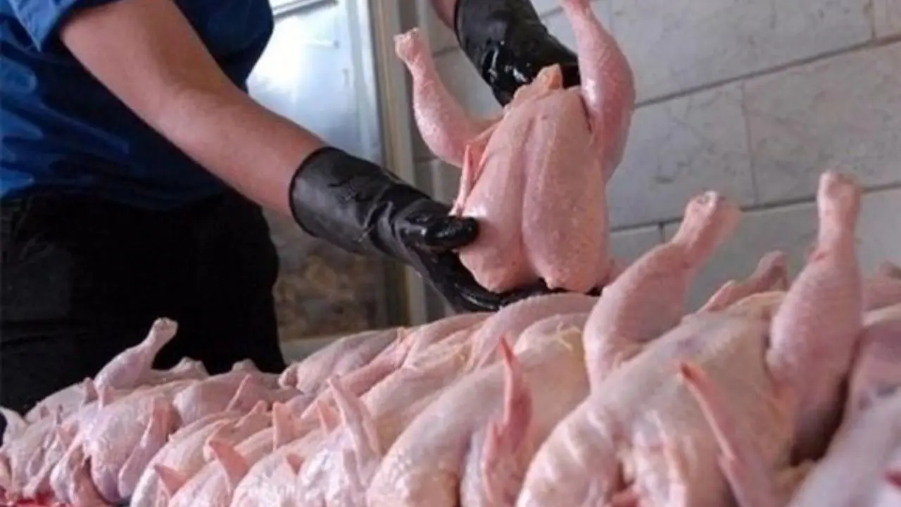 نرخ مرغ در بازار 600 تومان کاهش یافت/حداکثر قیمت مرغ درخرده‌فروشی‌ها 14 هزار و 500 تومان است