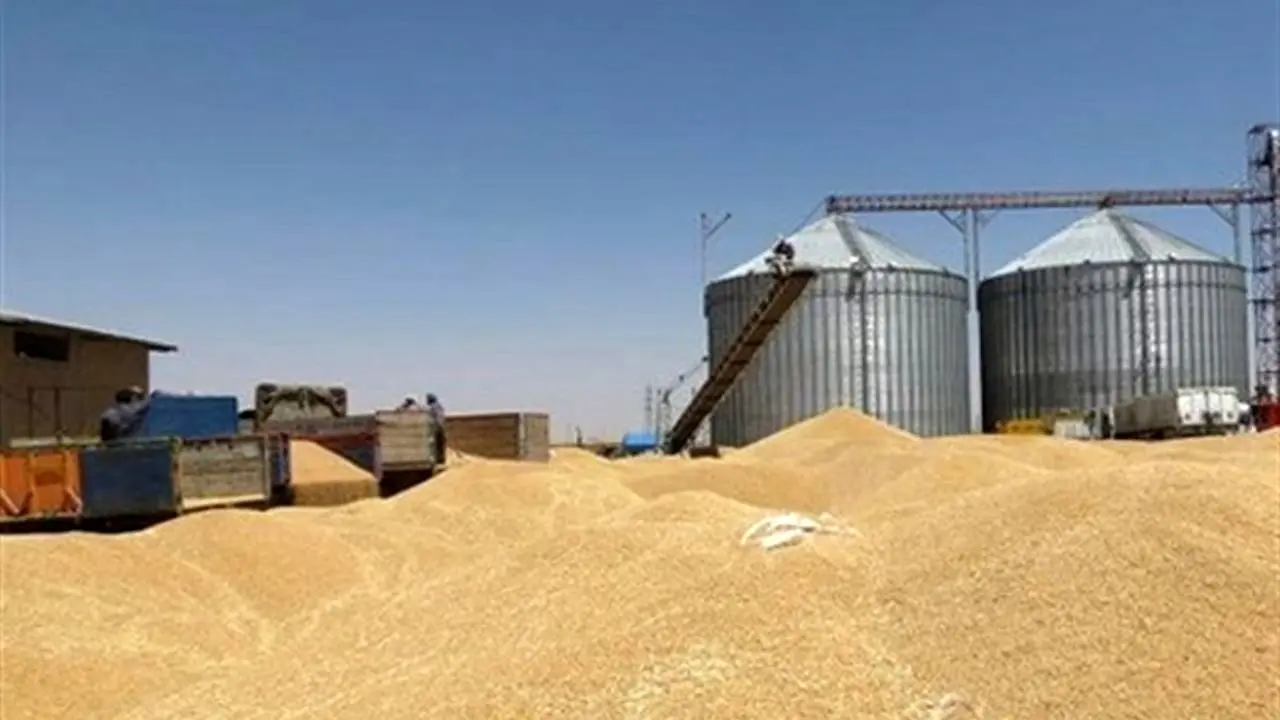 علت کاهش صادرات گندم چیست؟