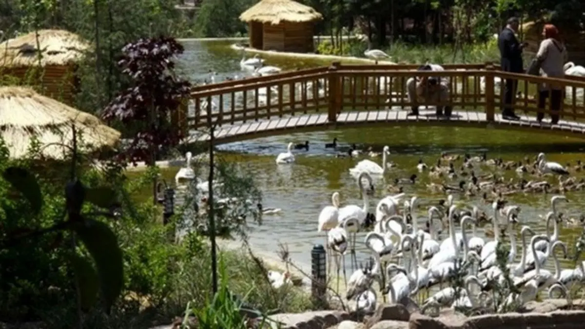 بهره‌برداری از فاز دوم باغ پرندگان تا پایان سال