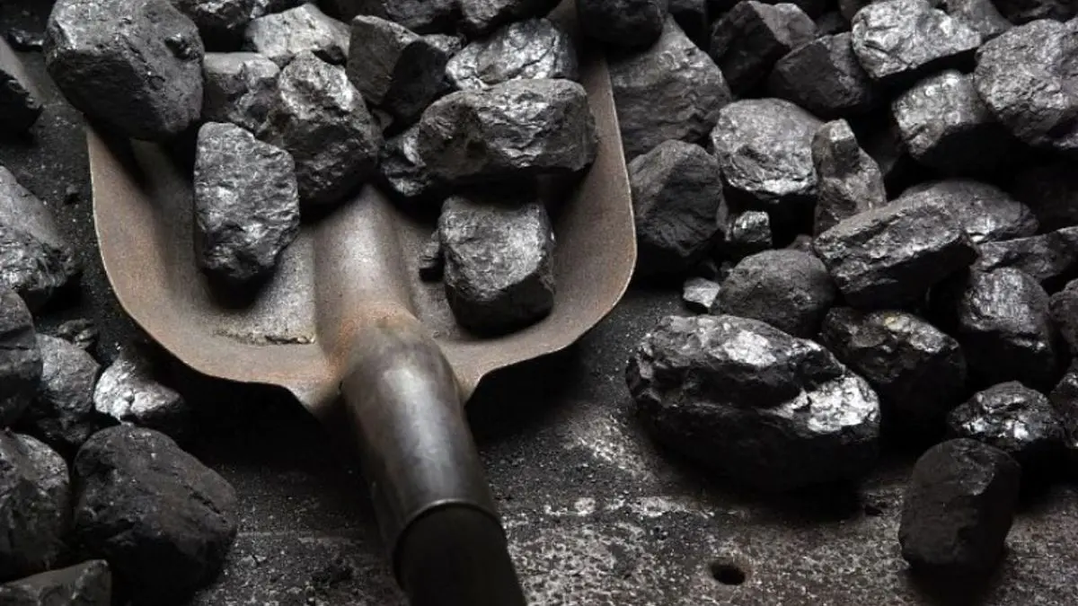 زغال کارخانه های کک سازی و فولاد در طبس تامین می شود