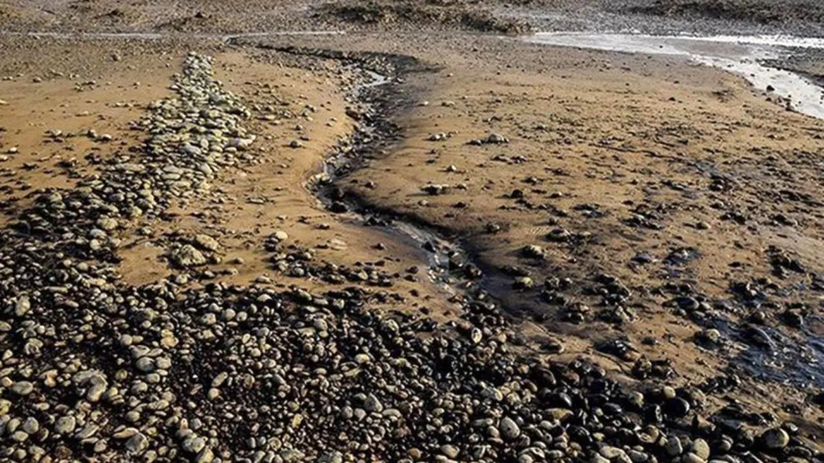 لکه‌های نفتی منشا آلودگی‌های سواحل و رودخانه‌های گناوه