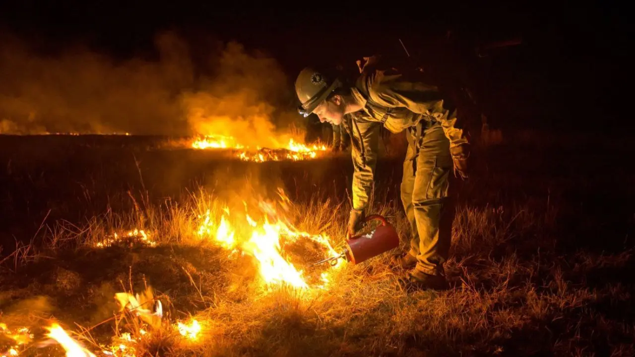 عکس روز نشنال جئوگرافیک، مقابله آتش با آتش