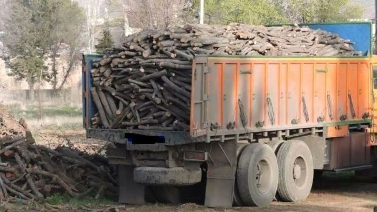 قاچاق چوب در کشور پنج درصد کاهش یافت