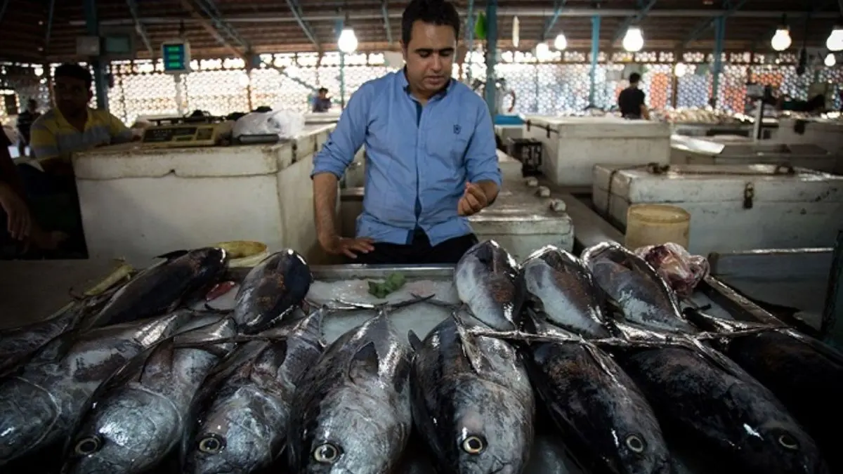 بازار ماهی در آستانه عید، 7 درصد افزایش قیمت خواهد داشت