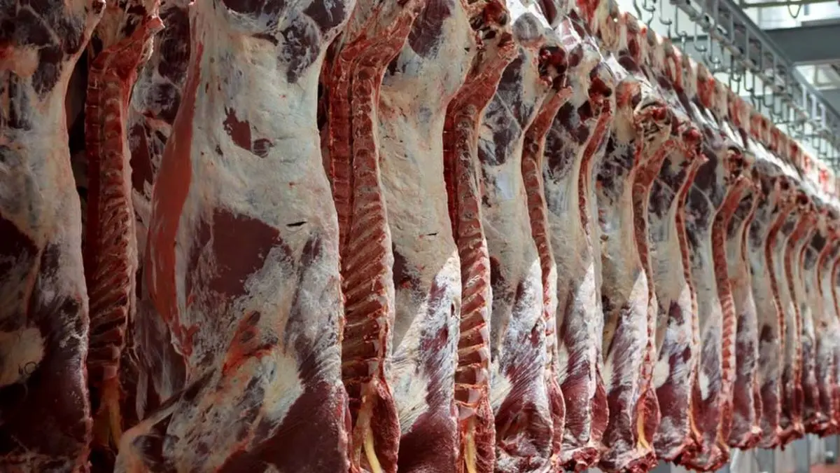 امسال 126 هزار تن گوشت قرمز وارد کشور شد