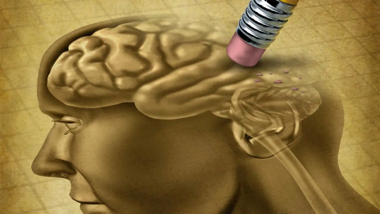 راه‌حل جدید برای پاک کردن خاطرات بد از مغز