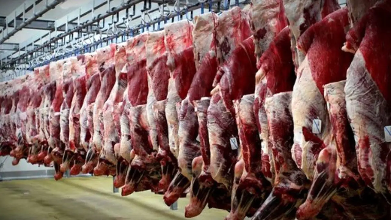 137 هزار تن گوشت در 11 ماهه امسال وارد کشور شد/ توقف کانتینرهای گوشت در بنادر برای سودجویی نیست