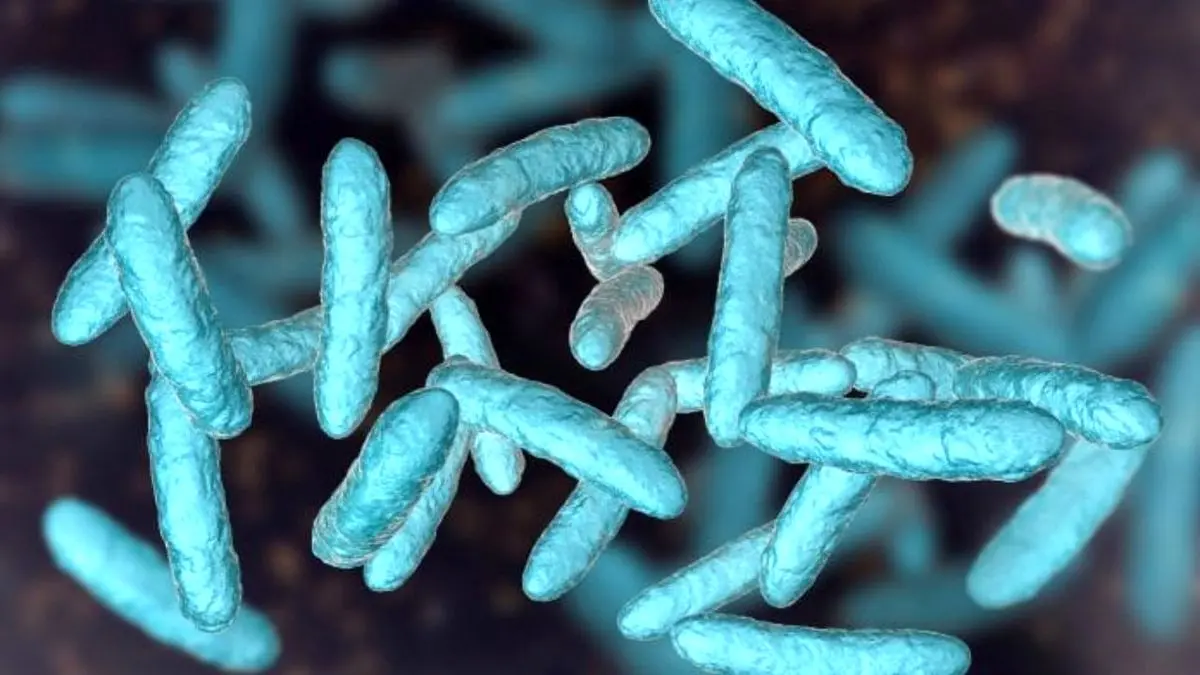 آیا می‌دانستید 2 هزار گونه باکتری در روده شما وجود دارد؟
