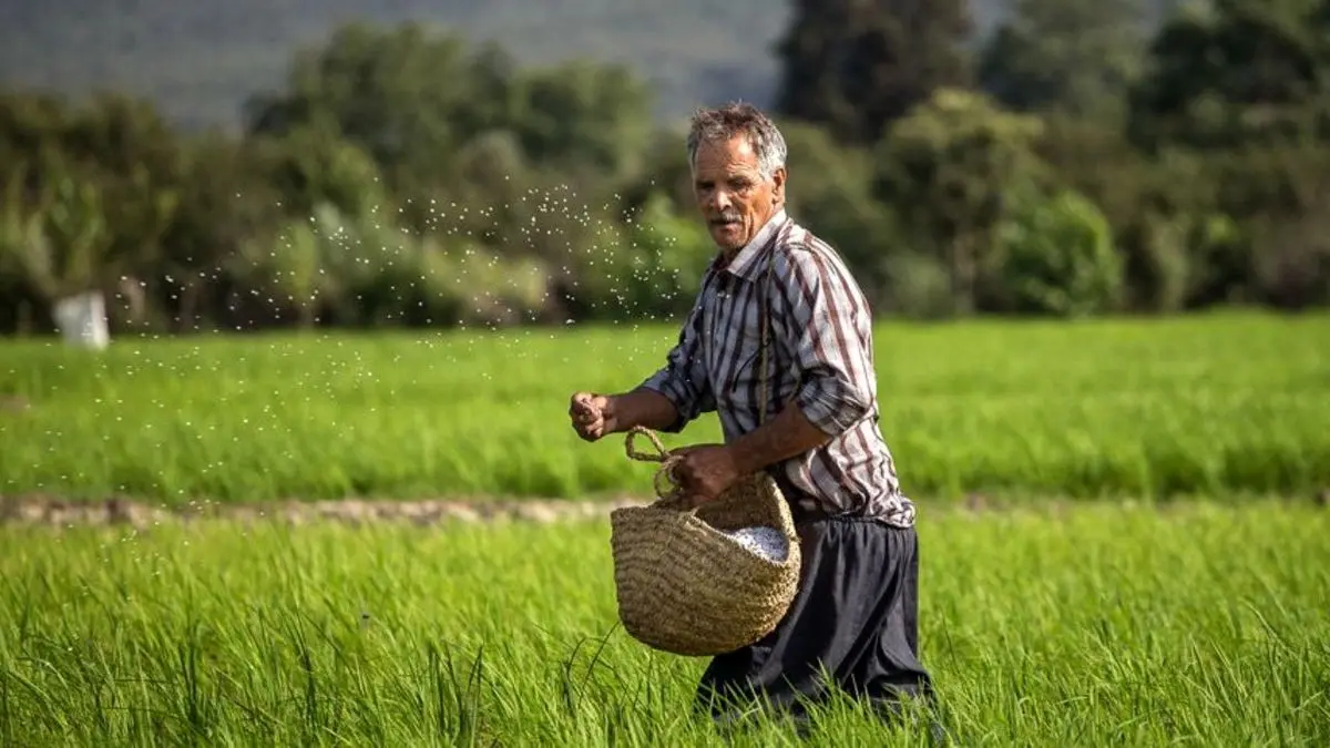 تامین 2 هزار میلیارد تومان برای کشاورزان خسارت دیده