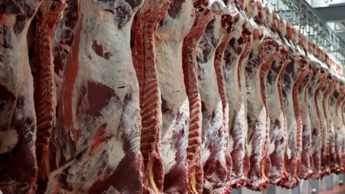 سال 97 واردات گوشت 146 درصد رشد داشت / تولید گوشت در داخل کاهش نداشته است