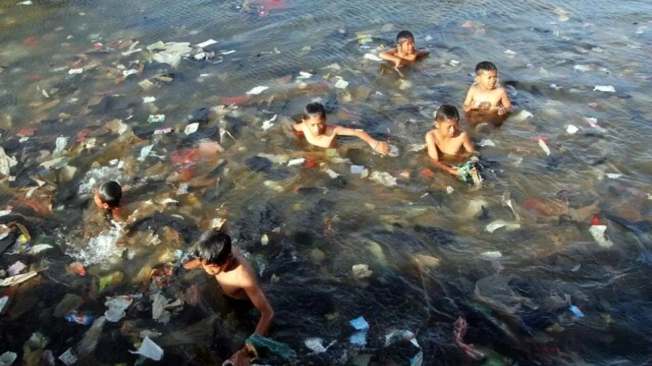 از آسیب زباله‌های پلاستیکی تا کشتار سگ‌ها با سیانور در هشتگرد