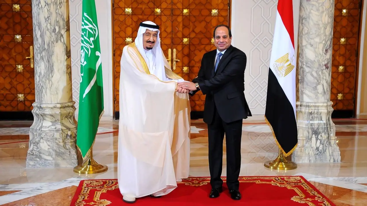 مصر و عربستان بر تشکیل شورای عربی-آفریقایی تاکید کردند