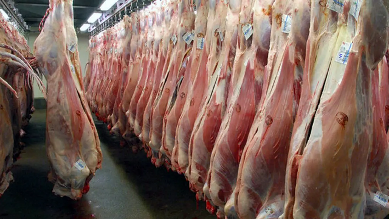 توزیع 7500 تن گوشت تنظیم بازاری در استان‌ها