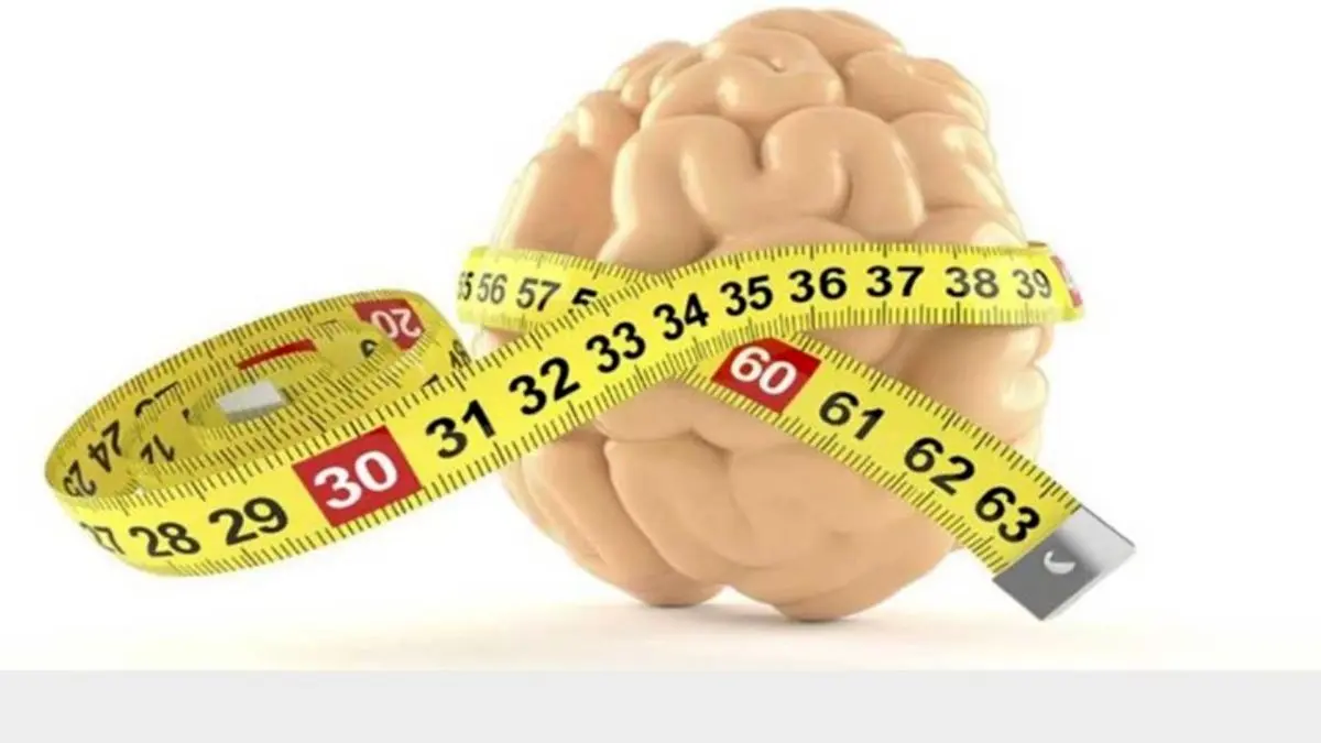 ژنتیک، اندازه مغز و میزان هوش را تحت تاثیر قرار می‌دهد