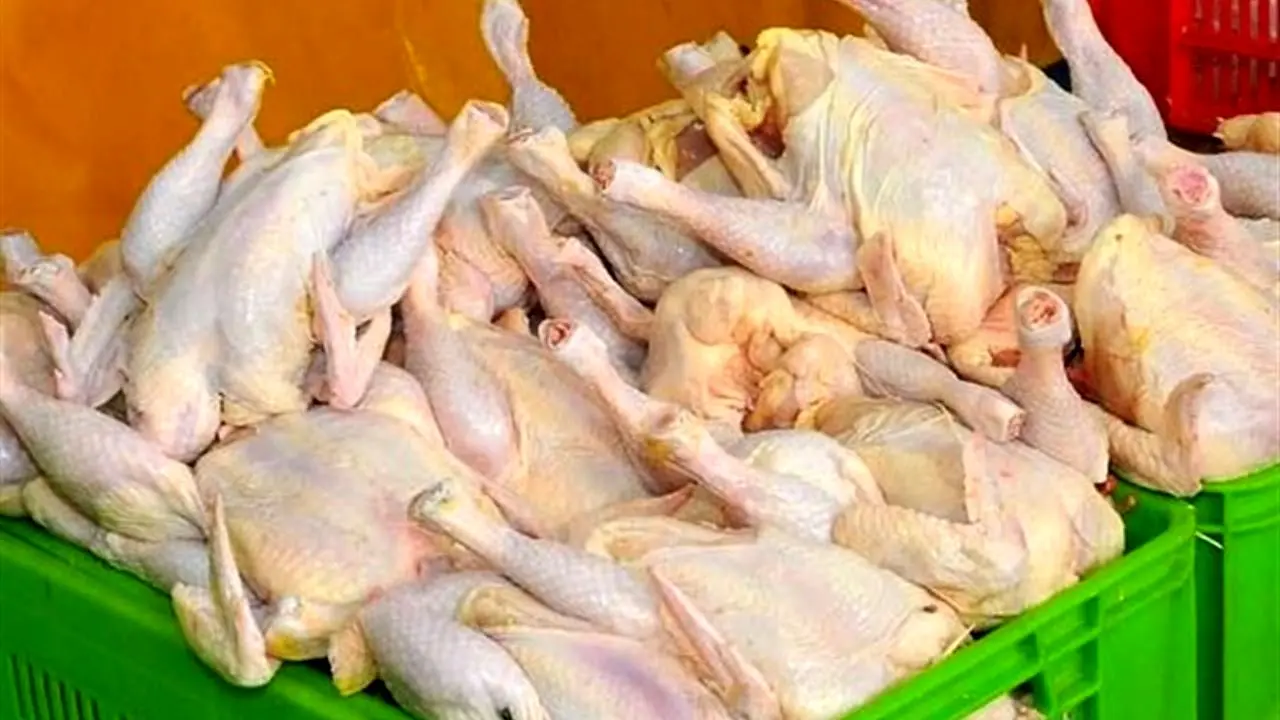 مرغ آماده طبخ در خرده فروشی کیلویی 16 هزار تومان / قیمت مرغ در بازار به ثبات رسید