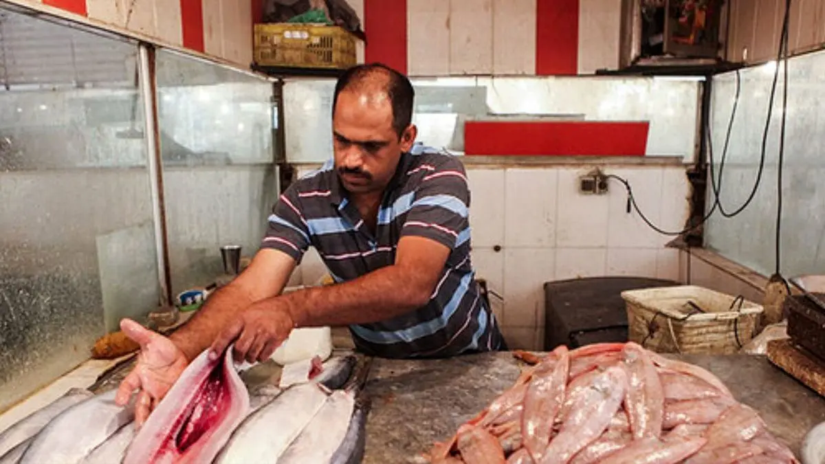 شب عید کمبودی در بازار ماهی نداریم/ قیمت هر کیلو قزل آلا سر مزرعه 18 هزار تومان