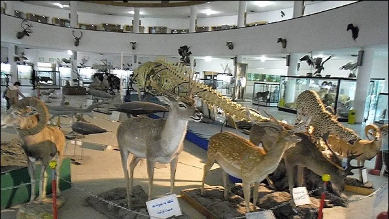 بازدید از موزه پارک پردیسان امروز رایگان است
