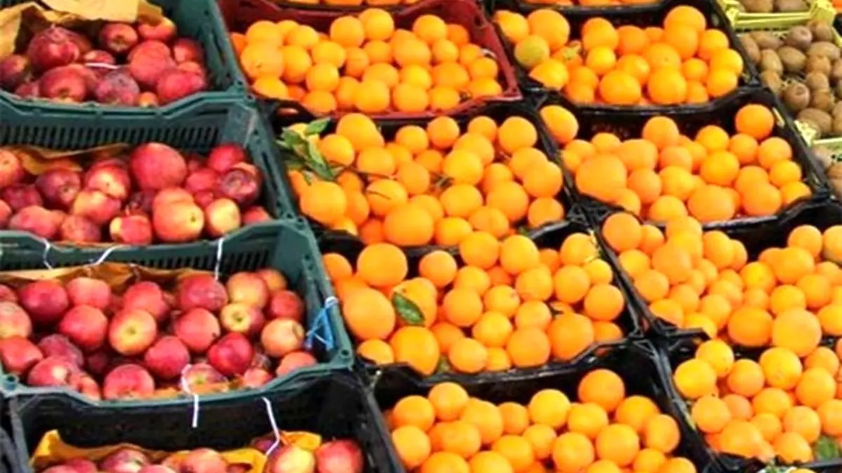 توزیع 70 هزار تن سیب و پرتقال در ایام عید
