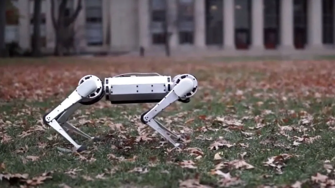 ربات پشتک‌زن + ویدئو