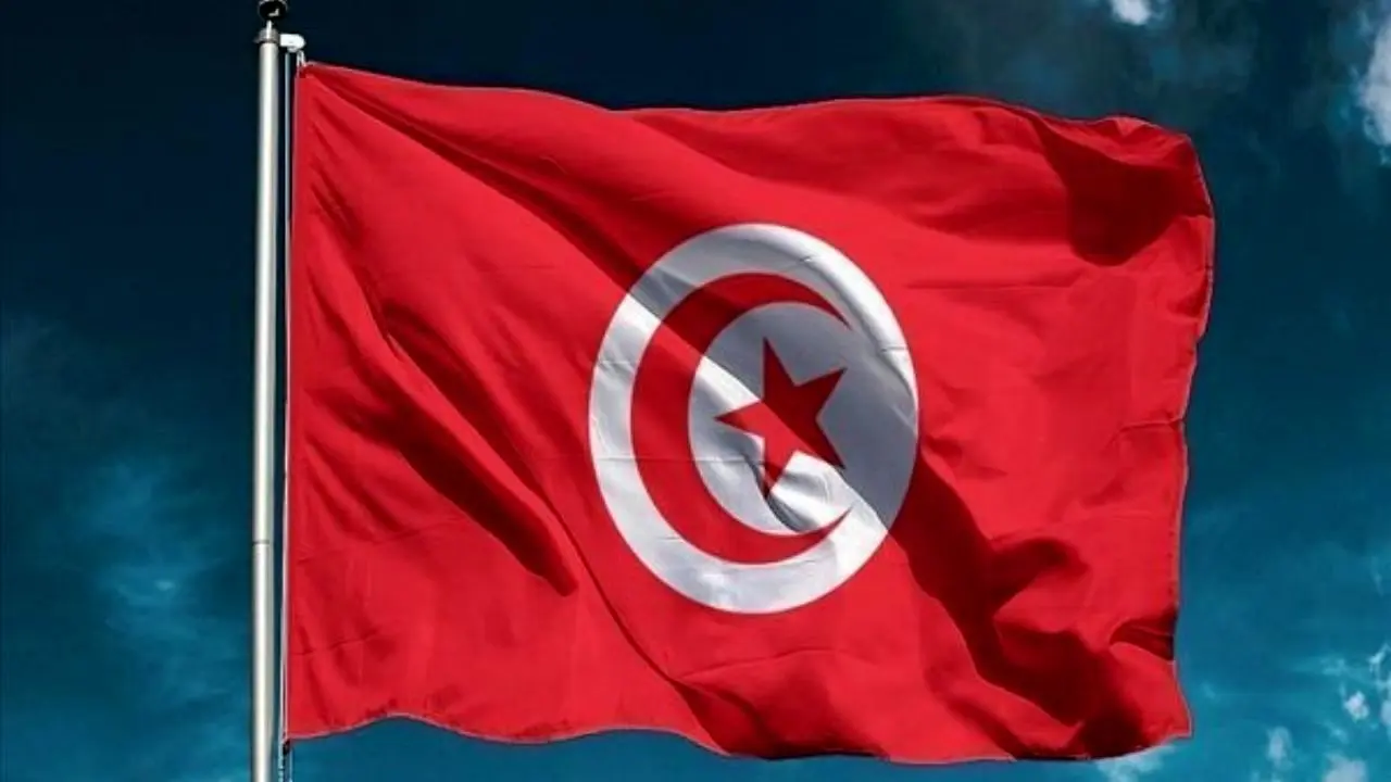 وزیر بهداشت تونس در پی مرگ 11 نوزاد در یک بیمارستان استعفا کرد