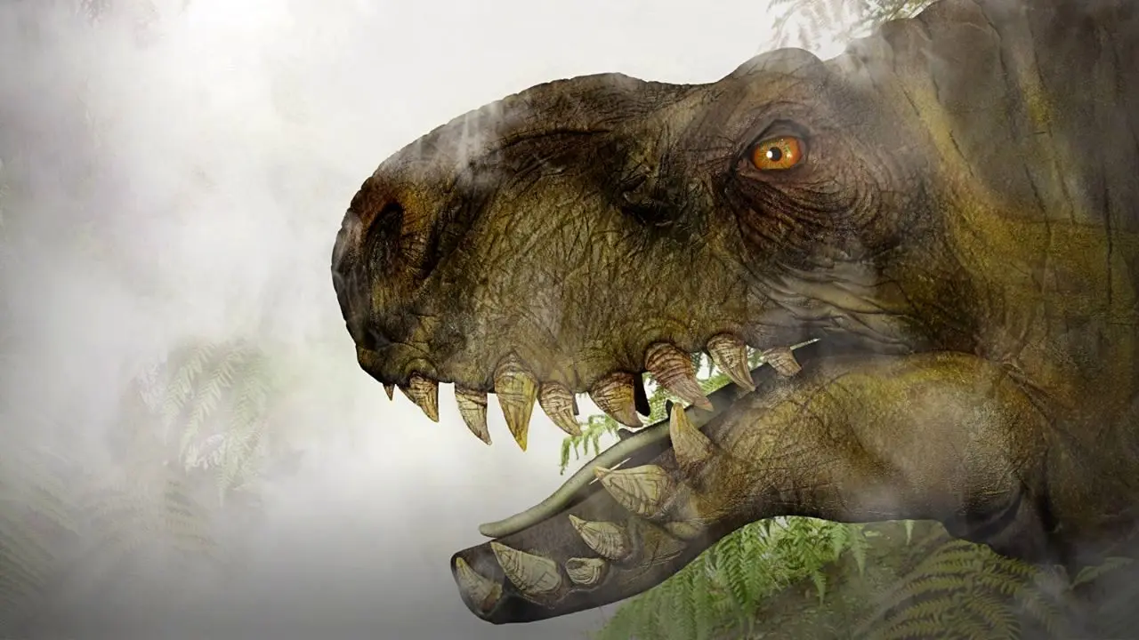 کشف فسیل پنج دایناسور در استرالیا