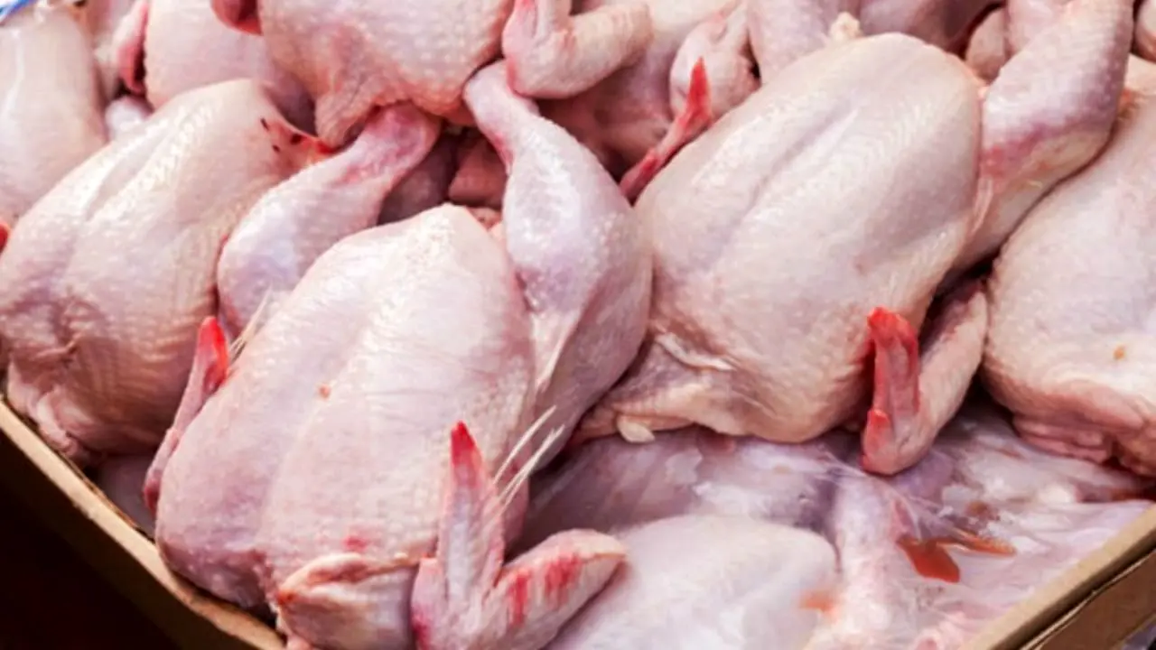 نرخ هر کیلو مرغ به 17 هزار تومان رسید