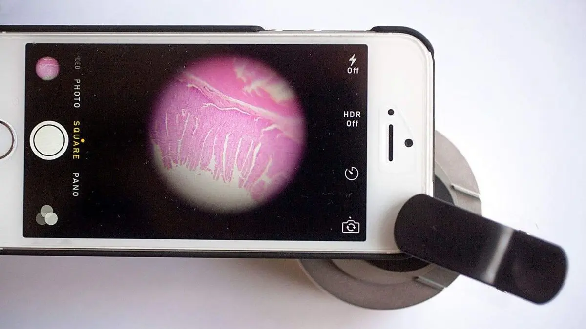 تبدیل آسان موبایل به میکروسکوپ + ویدئو