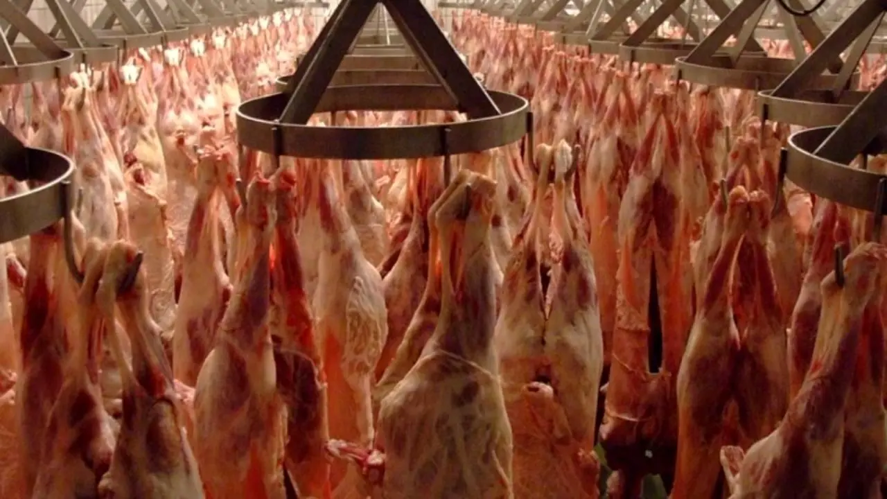 ورود آخرین محموله گوشت گرم در سال 97 به کشور