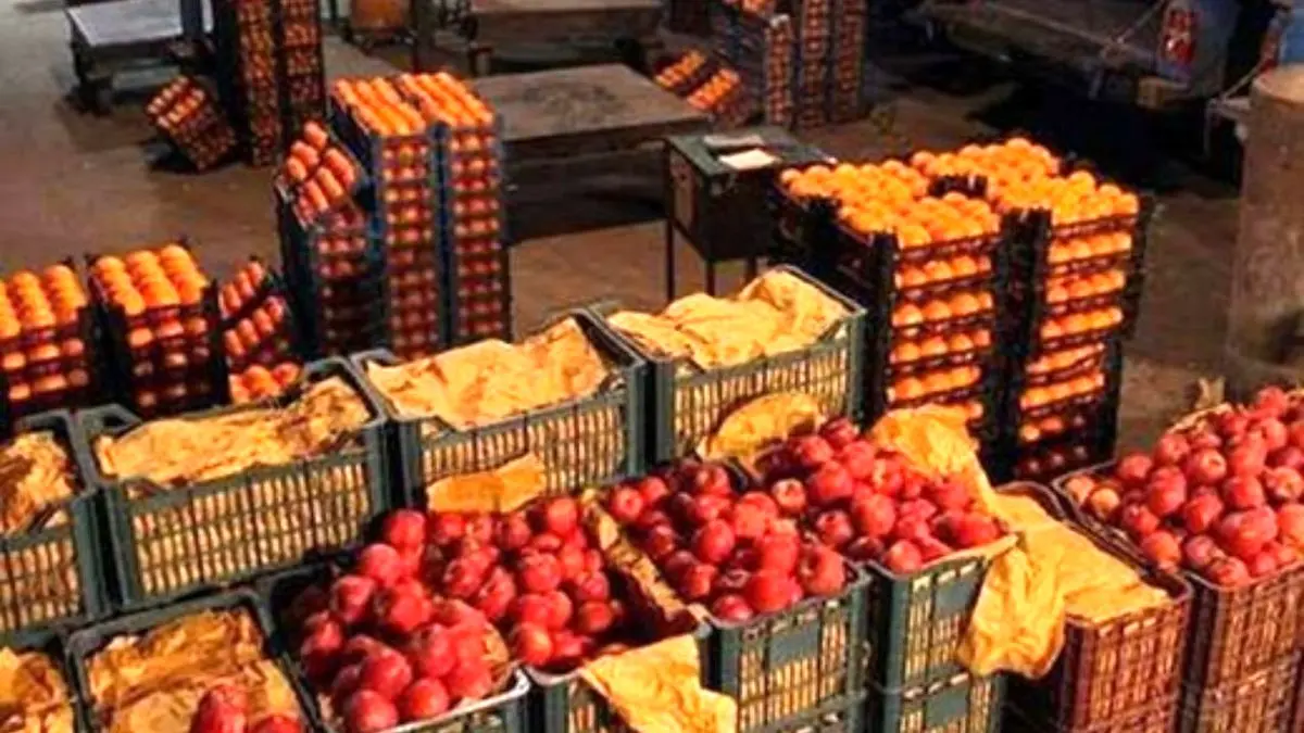 میوه تنظیم بازاری تا 20 فرودین عرضه می‌شود