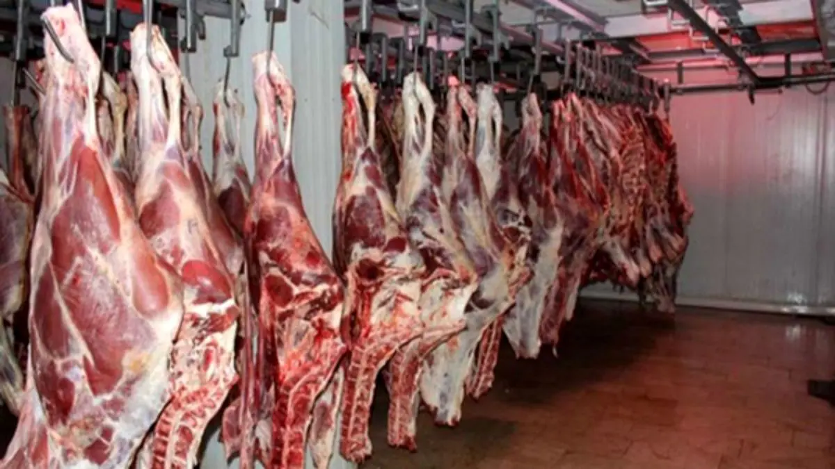 16هزار کیلو گوشت قرمز احتکاری در کهریزک شهرری کشف شد