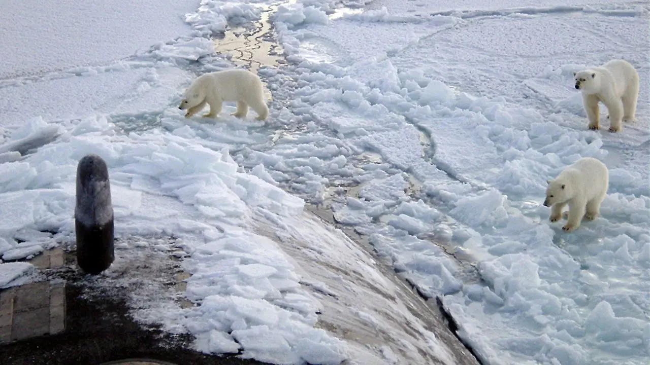 سازمان ملل درباره گرم‌شدن شدید قطب شمال هشدار داد