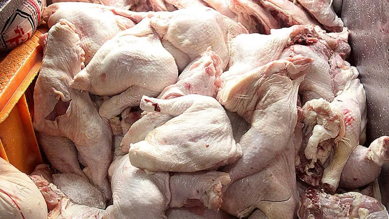 کاهش 200 تومانی قیمت مرغ / عرضه مرغ با نرخ بالای 16 هزارتومان اجحاف در حق مصرف کننده است