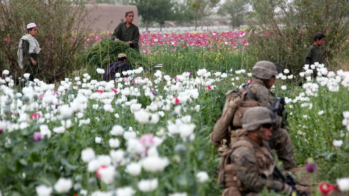 اعلام حملات بهاری توسط طالبان توسط آمریکا محکوم شد