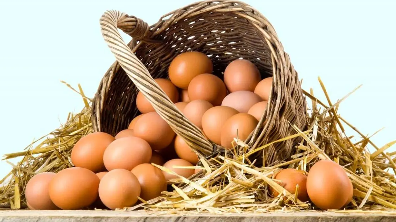 قیمت تخم‌مرغ به 5800تومان کاهش یافت