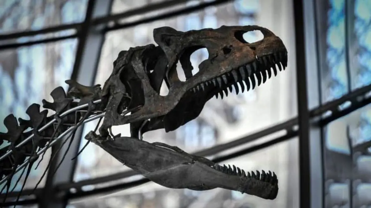 حراج اسکلت دایناسور 68 میلیون ساله در «ای‌بی»