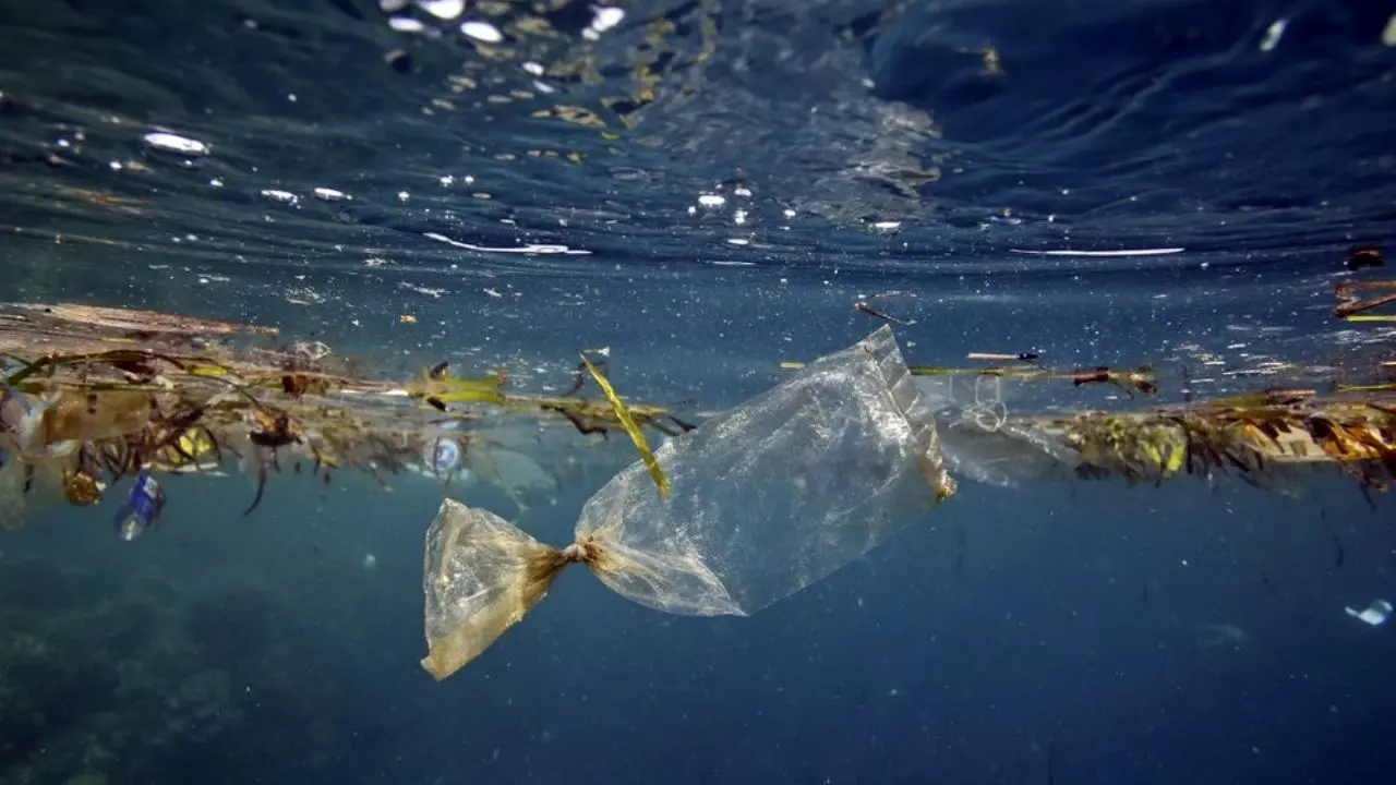 قدیمی‌ترین زباله پلاستیکی در اقیانوس‌ + ویدئو