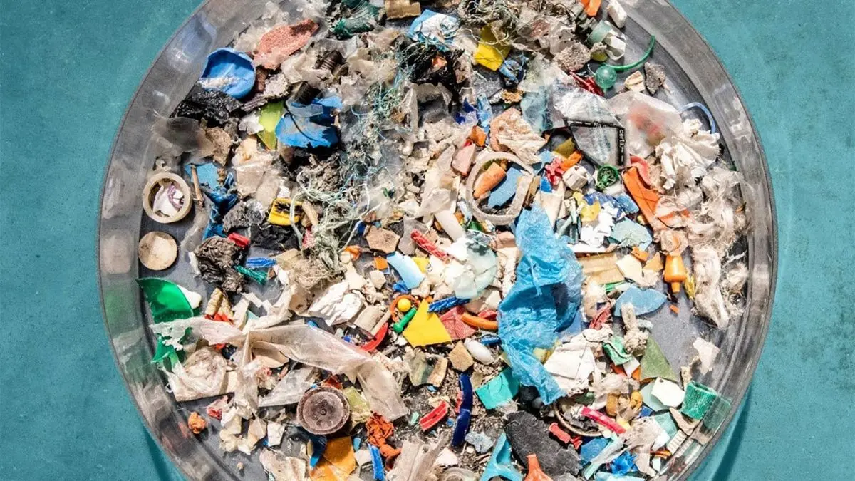 زباله‌های پلاستیکی در اقیانوس‌ها‎