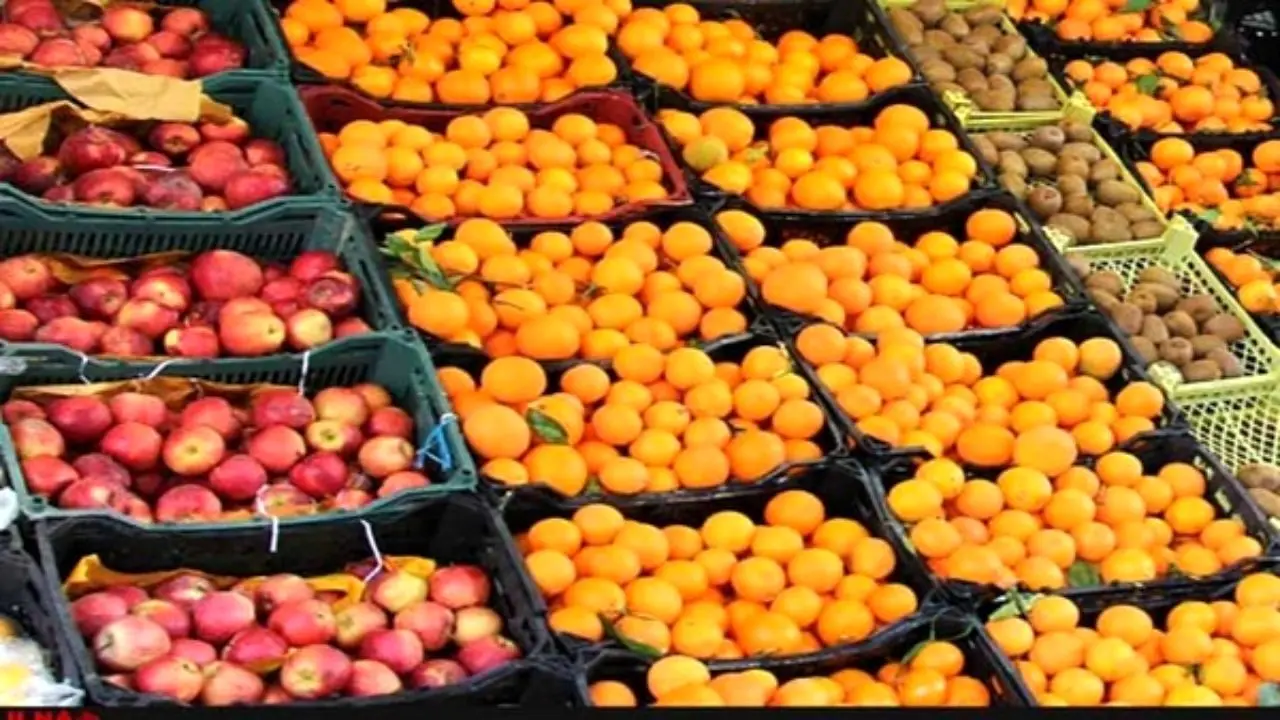 لغو ممنوعیت صادرات سیب و پرتقال