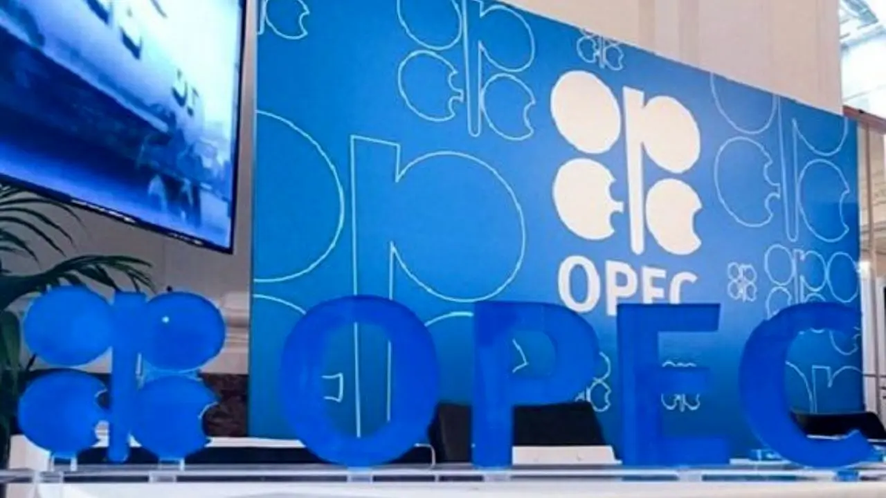 رکورد‌شکنی نفت اوپک در سال 2019