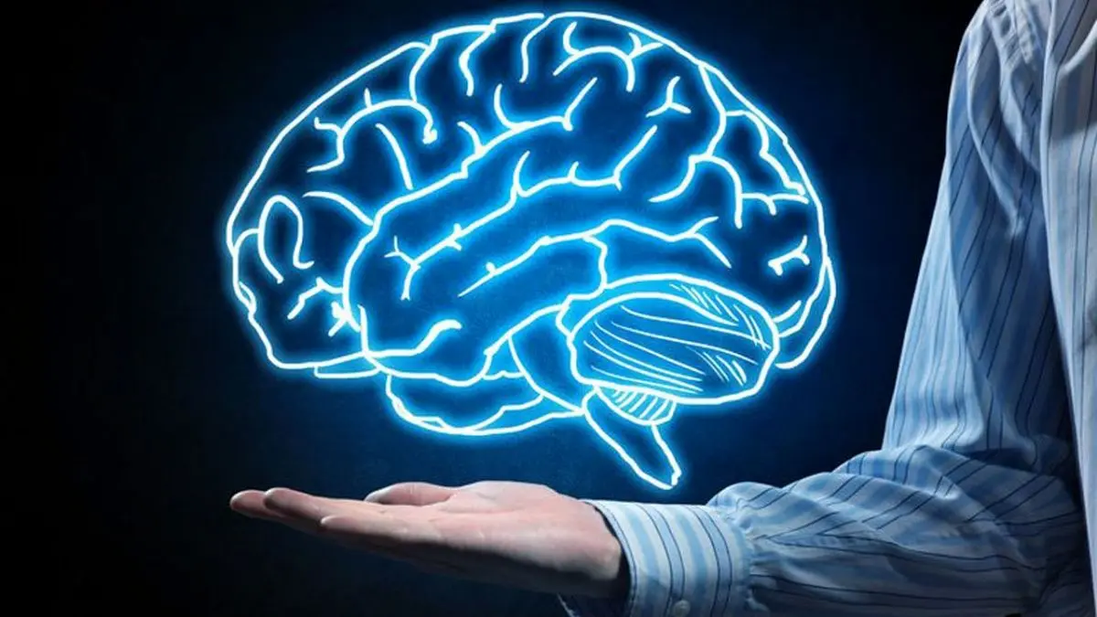 آیا ریشه اخلاق در ساختارهای مغزی است؟