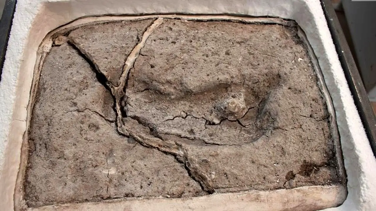 کشف قدیمی‌ترین رد پای انسان در شیلی + ویدئو